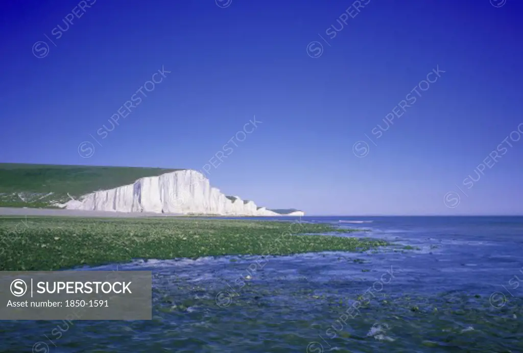 England, East Sussex, Birling Gap, Seven Sisters Chalk Cliffs Seen Across Seaweed Covered Rocks At Low Tide