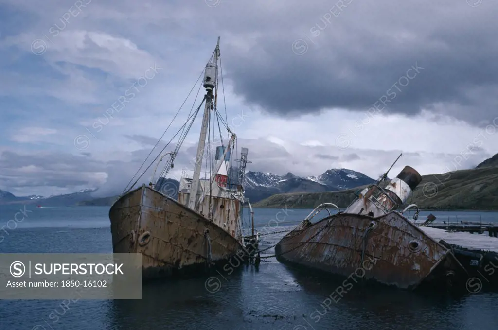 Antarctica, South Georgia, Grytviken, Abandoned Whale Catchers Semi Capsized In The Water.