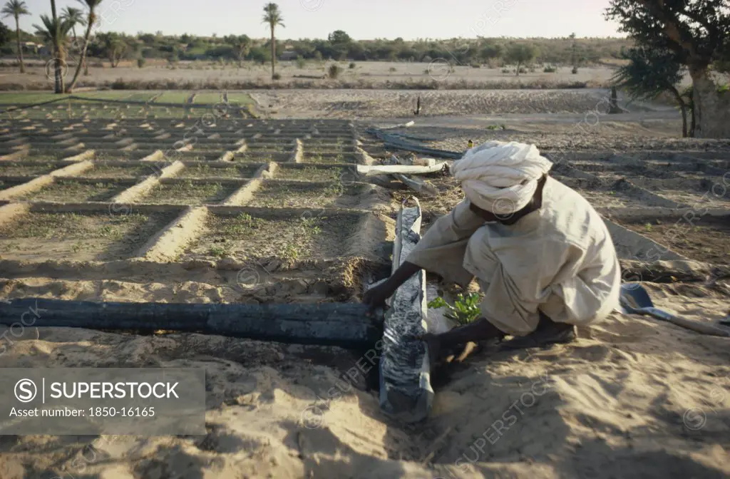 Sudan, Kordofan Province, Agriculture, Man Constructing Irrigation Channels For Cultivated Plots.