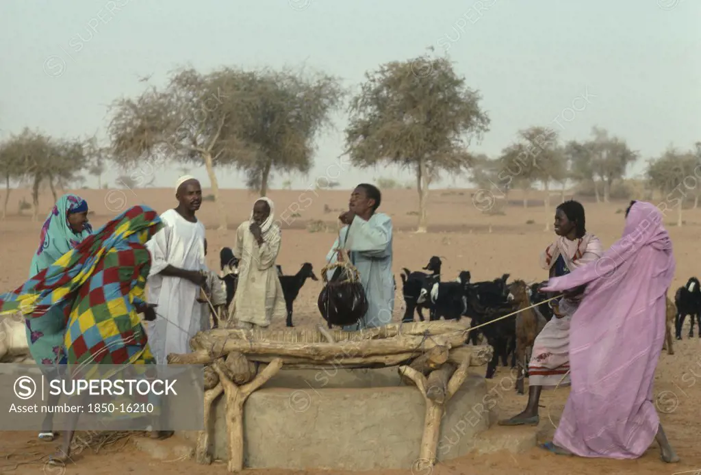 Sudan, North Kordofan, Men And Women With Goat Herd Drawing Water From Well.