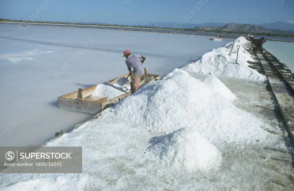 Dom.  Republic, Las Salinas, Workers Mining Salt.