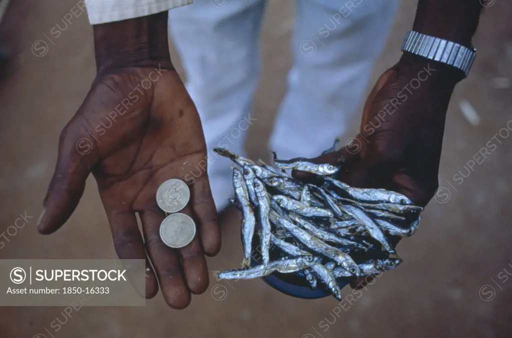 Malawi, Mulanje, Peter Makfero Travels 300Km Every Fortnight To Buy Fish From Lake Malawi To Resell.  His Village Credit Union Lent Him The Money To Start This Business.