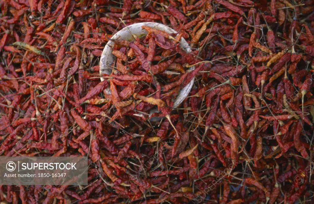 Mexico, Chiapas, Dried Red Chillies Filling Frame.