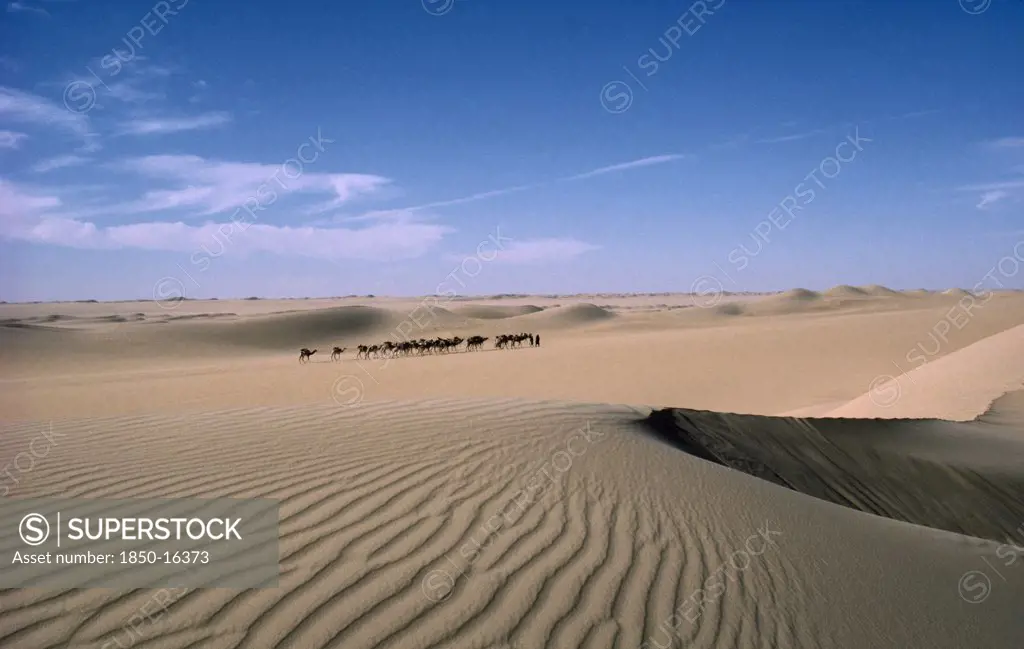 Niger, Transport, Animals, Distant Camel Train Crossing Sand Dunes.