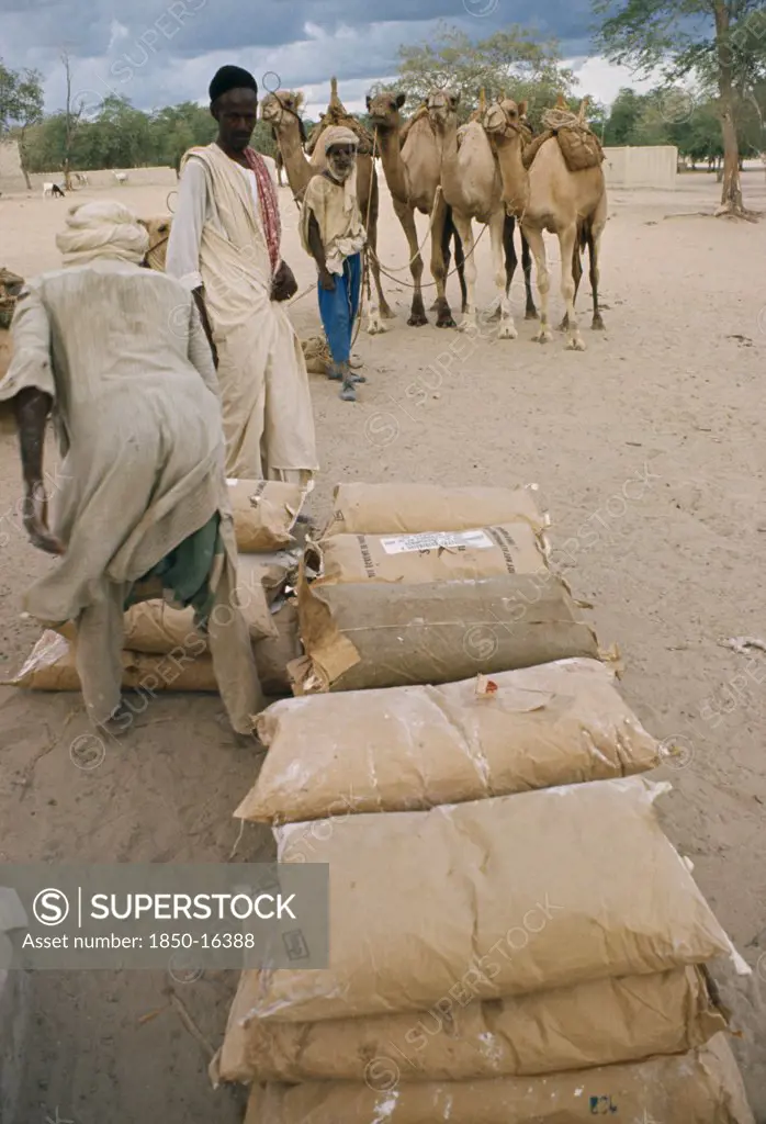 Niger, People, Work, Drought Relief Milk Powder Being Transported By Camel Train Of 300 Rather Than By Truck.