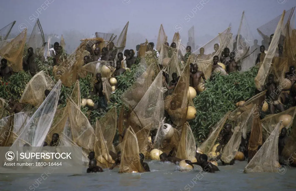 Nigeria, North, Argungu, Fishing Festival.  Mass Of Men And Nets At Climax Of Three Day Festival.