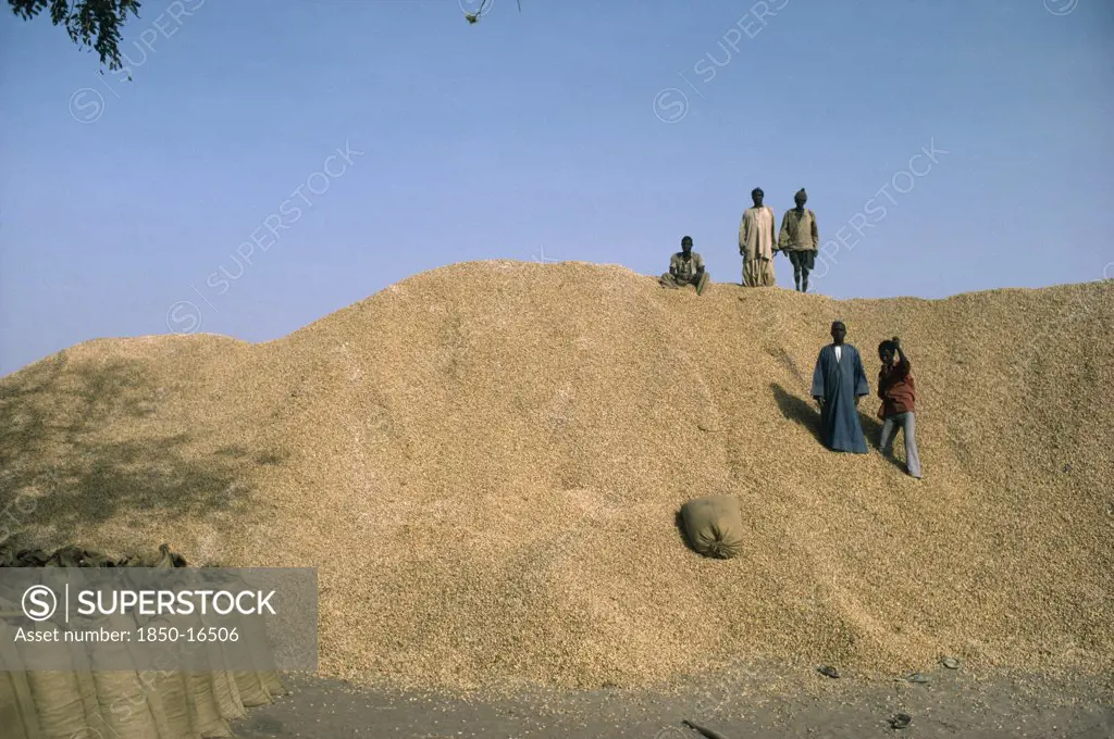 Gambia, People, Children, Children On Top Of Groundnut Heap