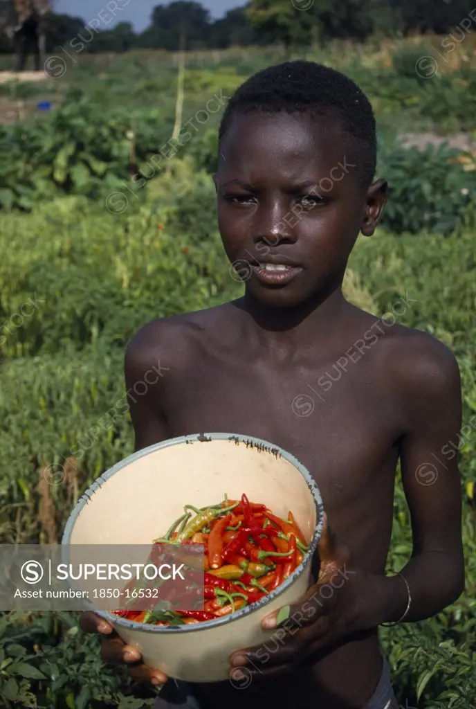 Gambia, Agriculture, Boy Holding Bowl Of Chillies