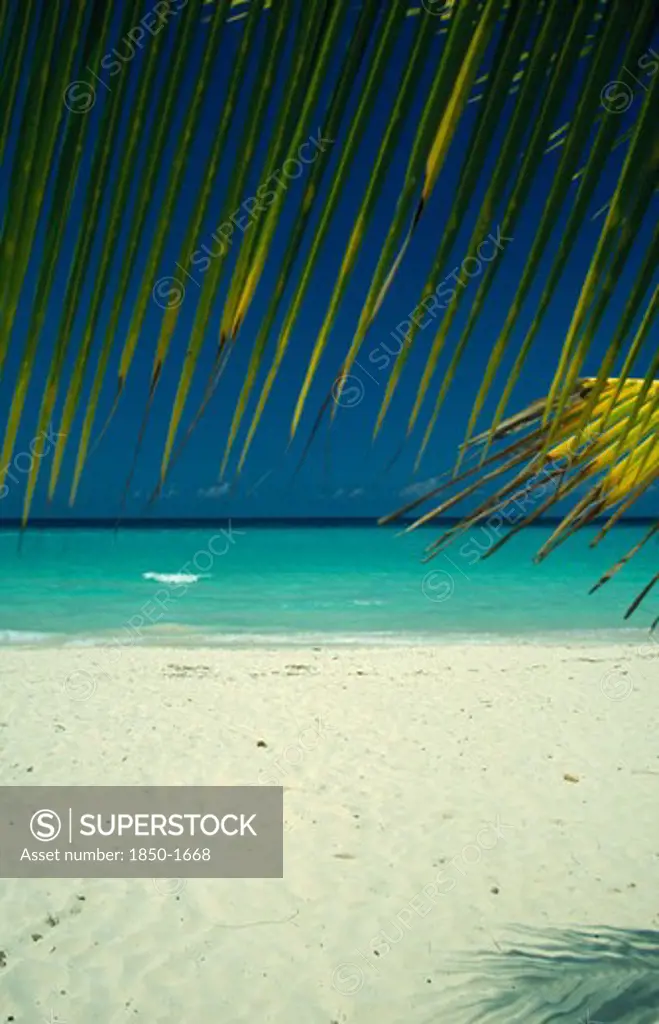 West Indies, Jamaica, Negril, Beach And Waters Edge Through Branch Of Coconut Palm Tree