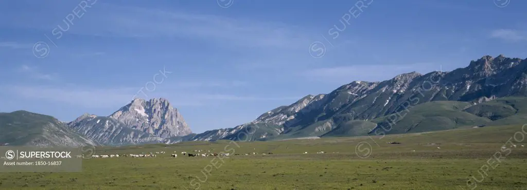 Italy, Abruzzo, Sasso Di Italia, 'Campo Imporatore. A Vast High Plateau Used For Horse Cattle And Sheep, Summer Grazing.'