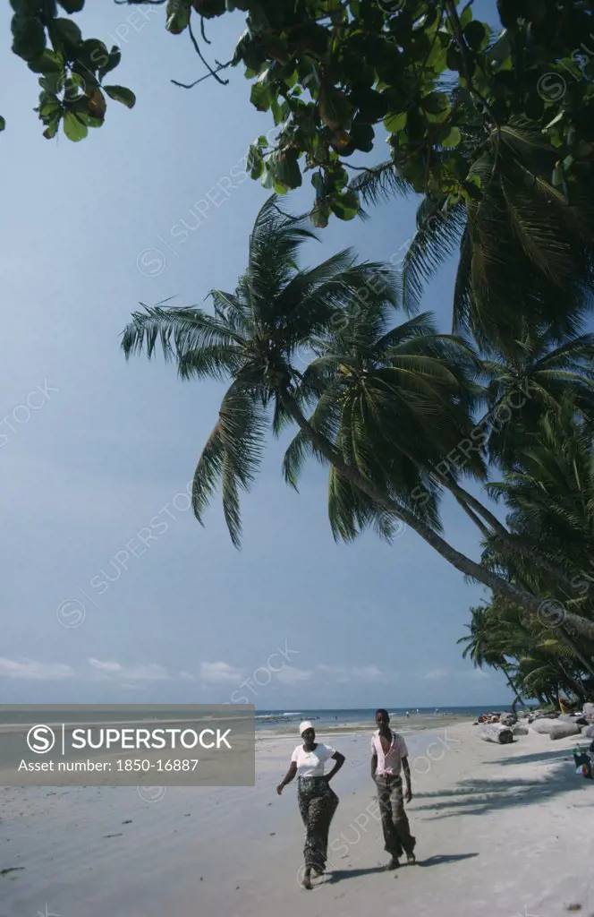 Gabon, Landscape, Cape Esteries. Man And Woman Walking Along Sandy Beach Lined With Overhanging Palm Trees