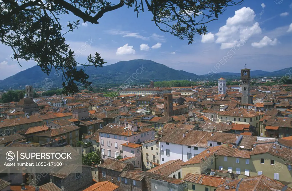Italy, Tuscany, Lucca, View Across Red Tiled Rooftops Of Town Part Framed By Tree Branches.