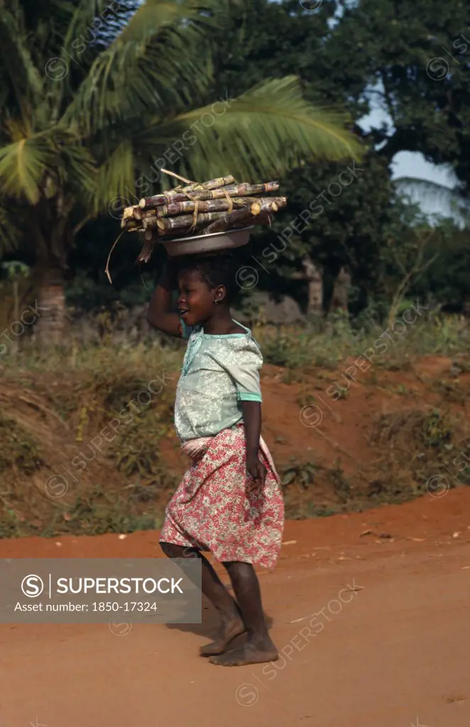Mozambique, Work, Young Girl Carrying Cut Lengths Of Sugar Cane On Her Head.