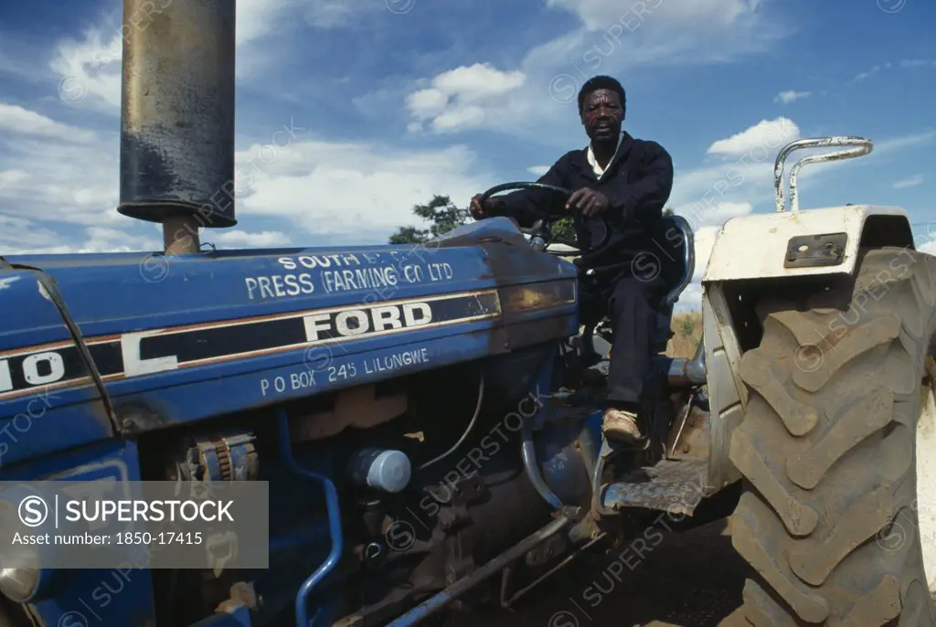 Malawi, Farming, Tractor Driver Working In Tobacco Plantation.