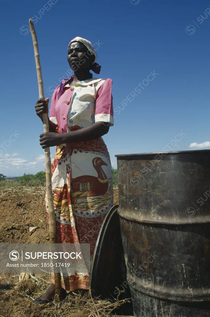 Malawi, Farming, Female Worker On Lomadef Lipangwe Organic Manure Demonstration Farm Using Chicken Manure On Land. Good Crop Yields Are Achieved Without Expensive Fertilisers.