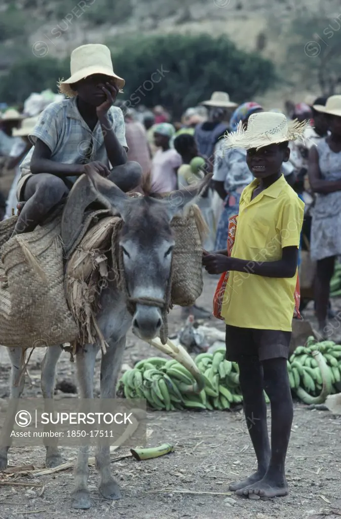 Haiti, Children, Market Scene With Two Young Boys With Donkey Carrying Basket Panniers.