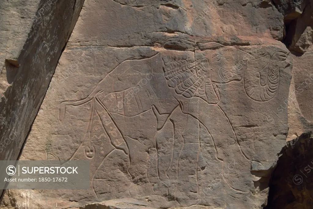 Libya, Wadi Mathendous, Detail Of Prehistoric Rock Relief Depicting Elephant.