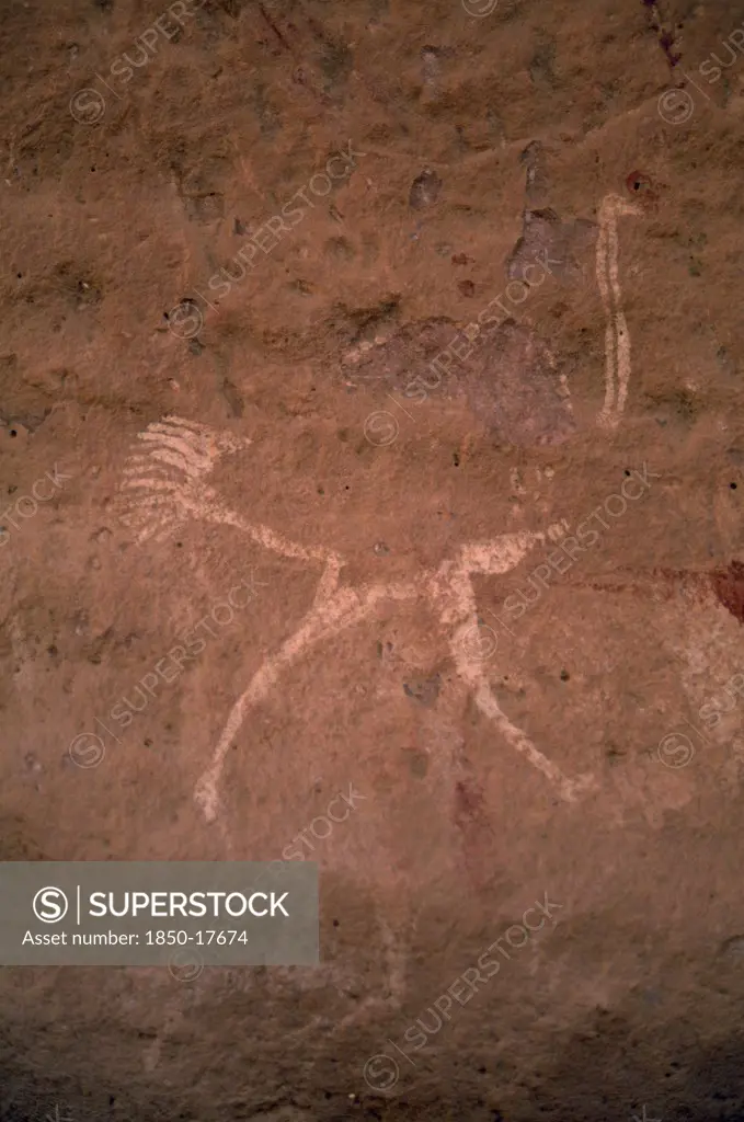 Libya, Wadi Auis, Detail Of Prehistoric Rock Art Depicting Ostrich.