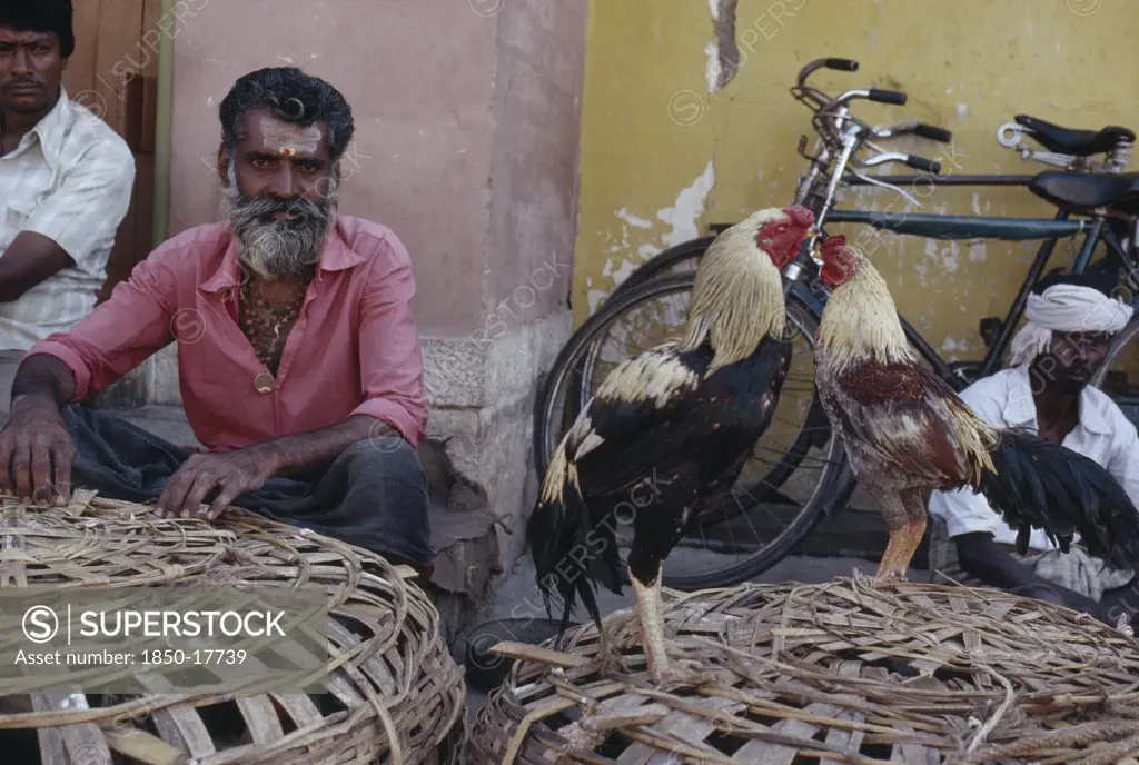 India, Karnataka, Mysore, Man Selling Cockerels On Side Street.