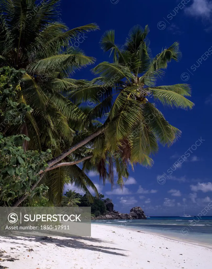 Seychelles, La Digue, Anse Severe, View Across Sandy Beach Lined With Overhanging Palm Trees Towards Rocks On The Coastline And A Yacht On Turquoise Sea