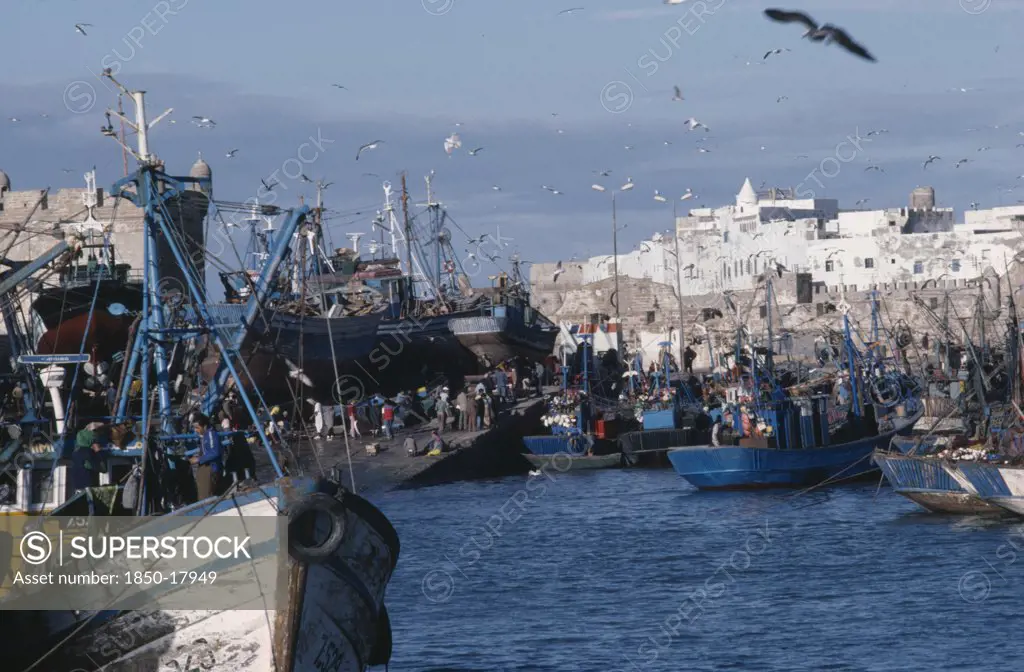 Morocco, Essaouira, Seagulls Circling Above Fishing Boats Beside Quay In Fortified Harbour.