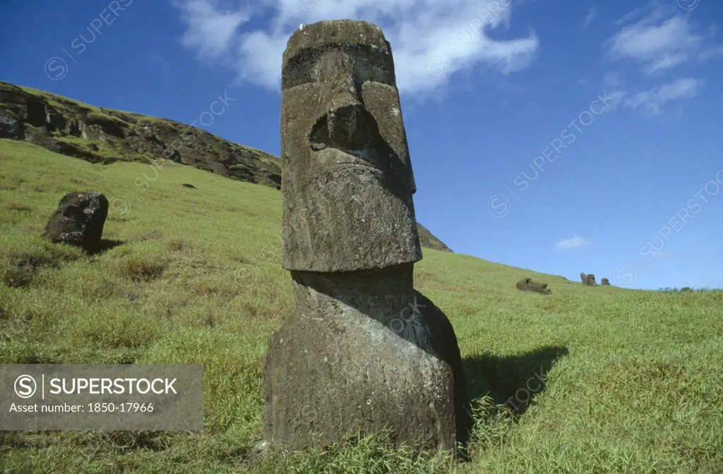 Pacific Islands, Easter Island, Rano Raraku Crater. Moai Statues Abandonned In Transit On The Slopes Of Crater