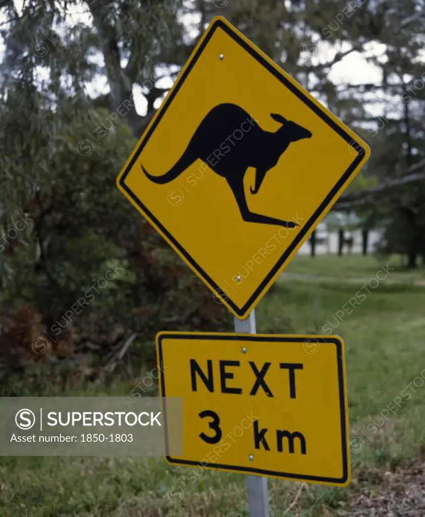 Australia, General, Kangaroo Warning Sign. A Black Kangaroo On Yellow Background