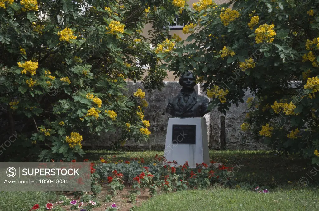 Bermuda, St George, Bust Of Irish Poet Thomas Moore Who Visited Bermuda In 1804 Surrounded By Yellow Flowering Bushes.