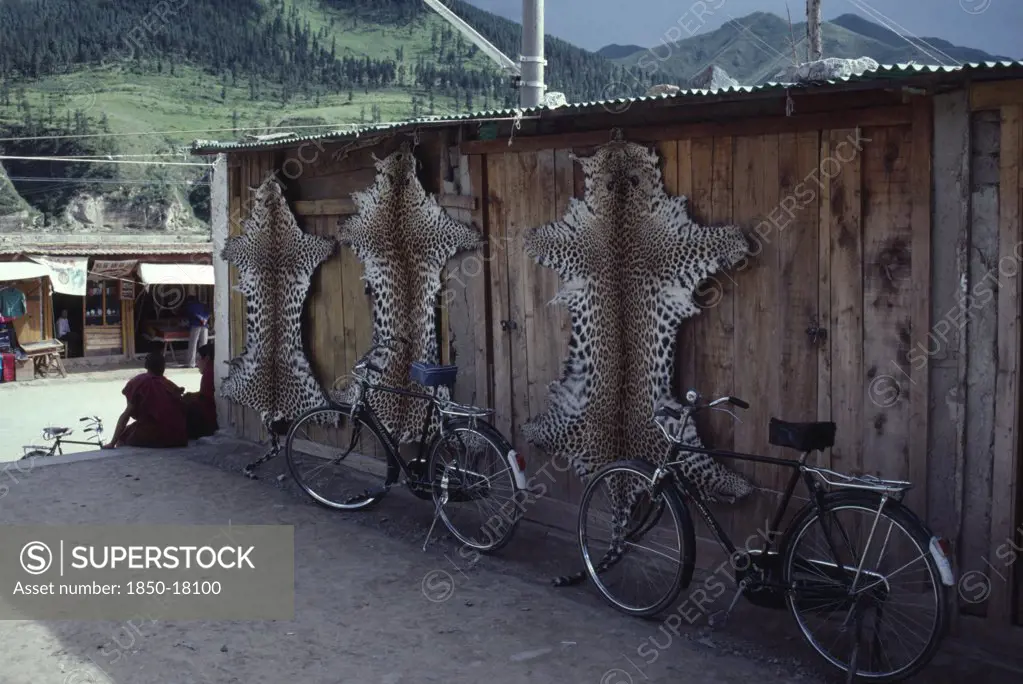 China, Gansu Province, Xiahe, Leopard Skins Smuggled From India Or Nepal Hanging On The Side Of A Wooden Building Next To Bicycles