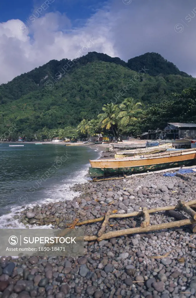 Dominica, Windward Islands, Soufriere Bay, Scotts Head Fishing Village. View Across Stoney Beach Lined With Wooden Fishing Boats And Huts Towards Palm Trees And Tree Covered Hillside
