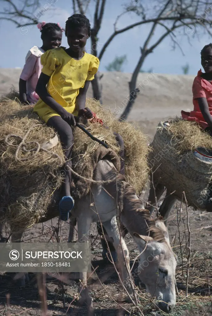 Haiti, People, Children, Girls Riding Donkeys Carrying Straw