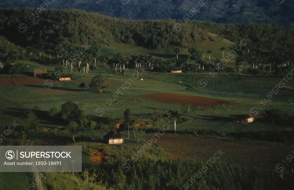 Cuba, Pinar Del Rio, Green Farmland And Farm Buildings