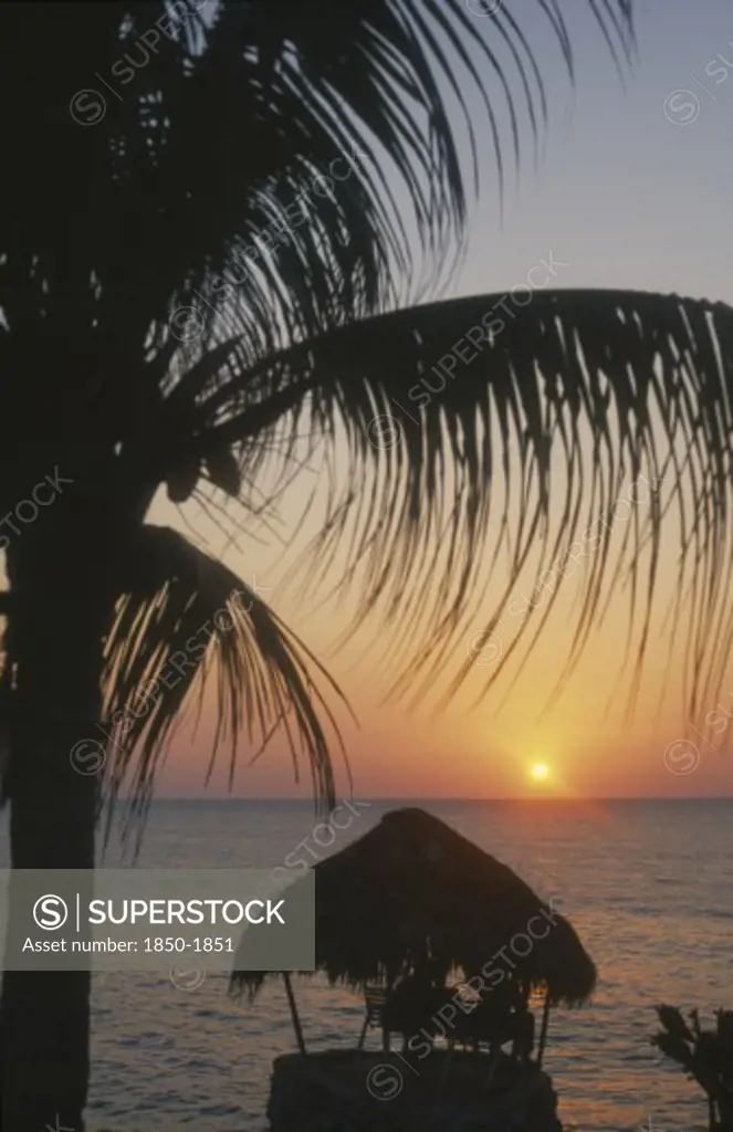West Indies, Jamaica, Negril, Ricks Cafe At Sunset Through Coconut Palm With Tourists Sitting Under Thatched Sun Shade