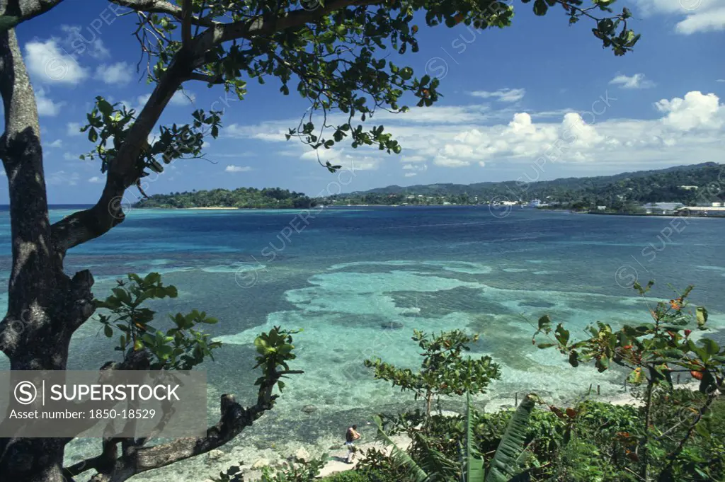 West Indies, Jamaica, Port Antonio, View Across Turquoise Sea Towards Beach And Tree Covered Coast Part Framed By Tree Branches.