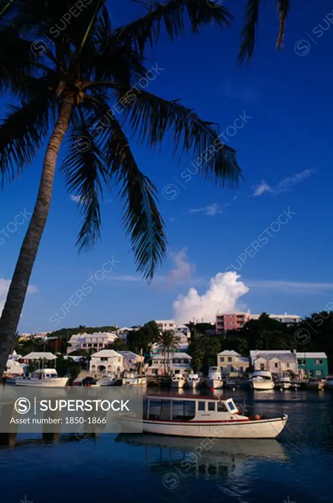 Bermuda, Flatts Village, 'Old Motor Boat Moored In Harbour Under Palm Tree, Waterside Buildings And Other Moored Boats Behind.'