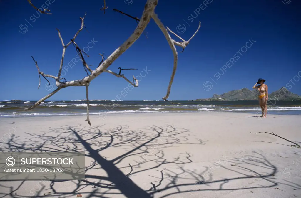 Madagascar, Fort Dauphin, Lokaro, The Leafless Branches Of A Tree Casting Skeletal Shadows On The Sand Of A Beach With A Woman Wearing A Hat Standing Nearby And Mountains Seen From Across The Ocean In The Distance