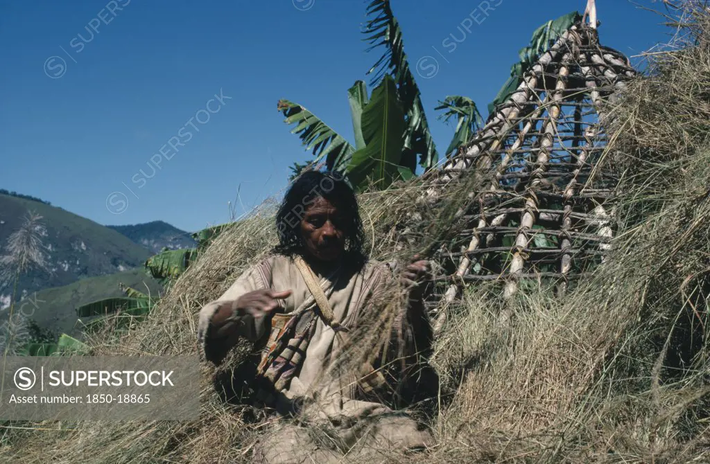 Colombia, Sierra Nevada De Santa Marta, Northern Slopes, Mama Valencia A Kogi Mama/Priest Re-Thatching The Conical Roof Of His House With Recently Cut Hay In Lowland Settlement Of San Antonio He Wears Traditional Criss-Crossed Mochilas/ Shoulder Bags Over A Woven Cotton Manta/Cloak