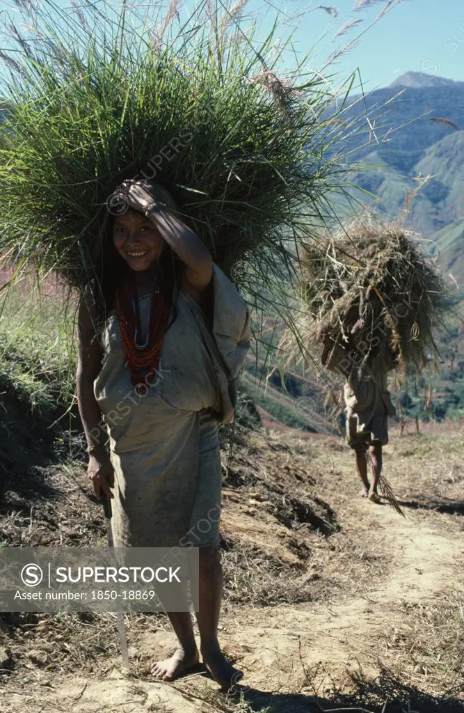 Colombia, Sierra Nevada De Santa Marta, San Antonio, 'Mama Valencia'S Daughter And Young Son Bring Freshly Cut Bundles Of Hay Along Track To San Antonio To Re-Thatch Their Family Home. Lower Slopes Of Sierra Nevada Behind, Denuded By Past Over-Grazing. Kogi Tribe '