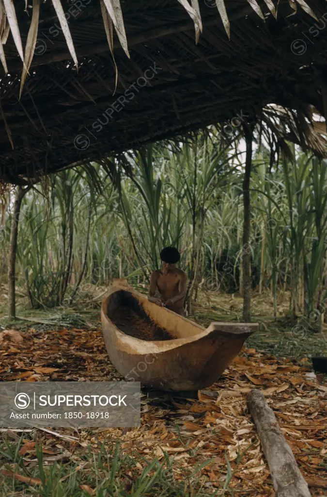 Colombia, Choco Region, Noanama Tribe, 'Man Makes A New Canoe From A Single Tree Trunk Brought Down From Forest To Riverside Shelter, Thatched Against Sun And Tropical Downpours'