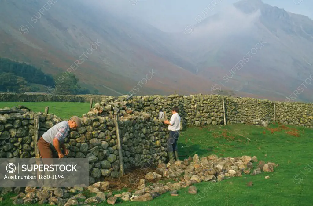 Architecture,  , Walls, Men Reparing Drystone Wall Wasdale Head Lake District