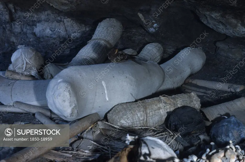 Colombia, Sierra De Perija, Yuko - Motilon, 'Ritual Burial Cave In Forested Hills Behind Village Containing Mummified Corpses With Nightjar Perched On One, Also Loose Skulls And Bones And Spindles Of The Dead,.'