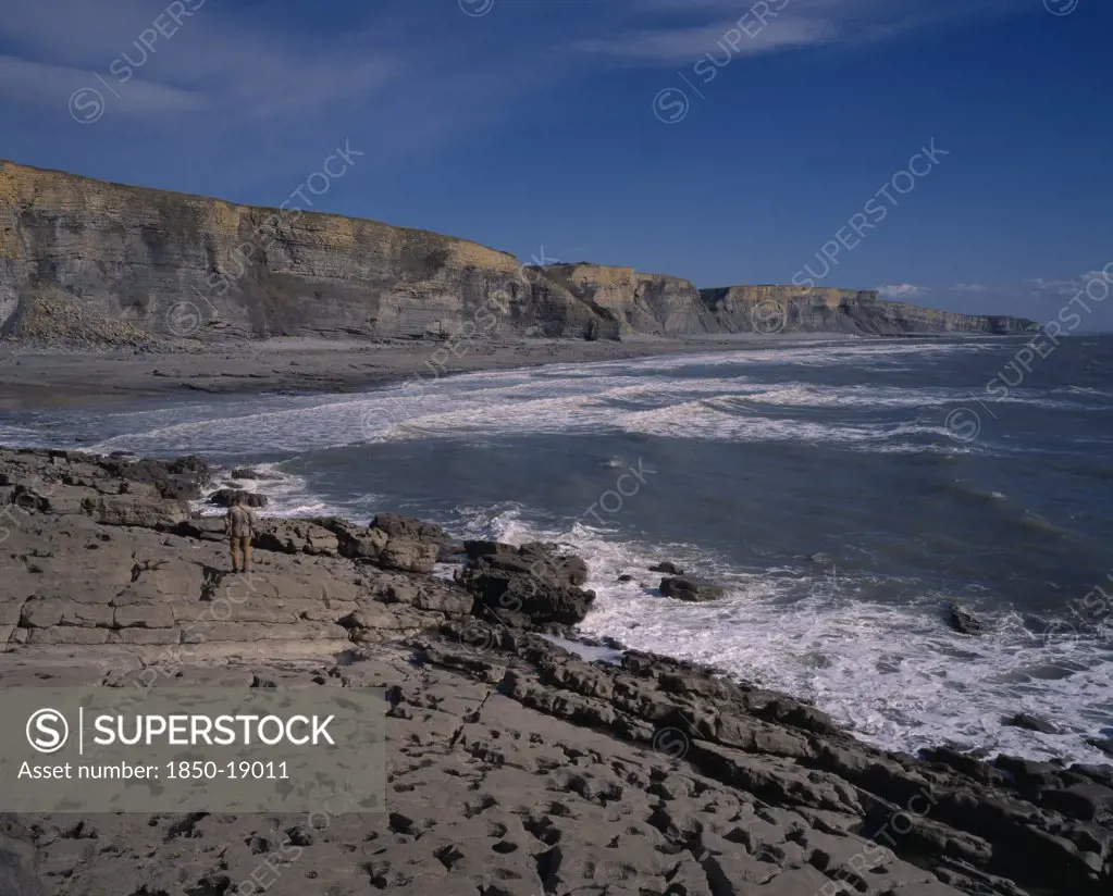 Wales, Vale Of Glamorgan, Southerndown, 'A Man Standing On The Shore Of The South Coast With Liassic Limestone Cliffs, Near Bridgend.'