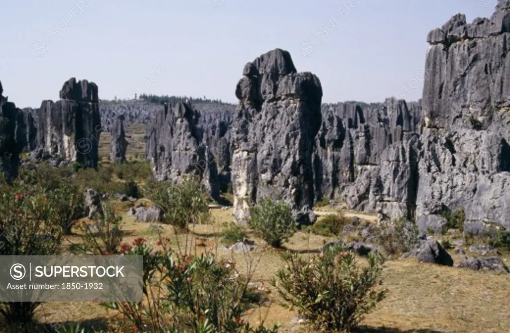 China, Yunnan Province, Shilin, 'The Stone Forest, Near Kunming. Grey Limestone Rock Pinnacles Across The Landscape'