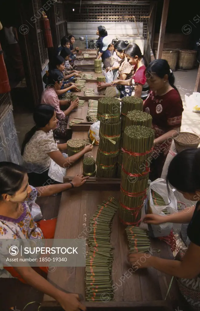 Myanmar, Bago, Line Of Female Workers Inside Cheroot Factory.