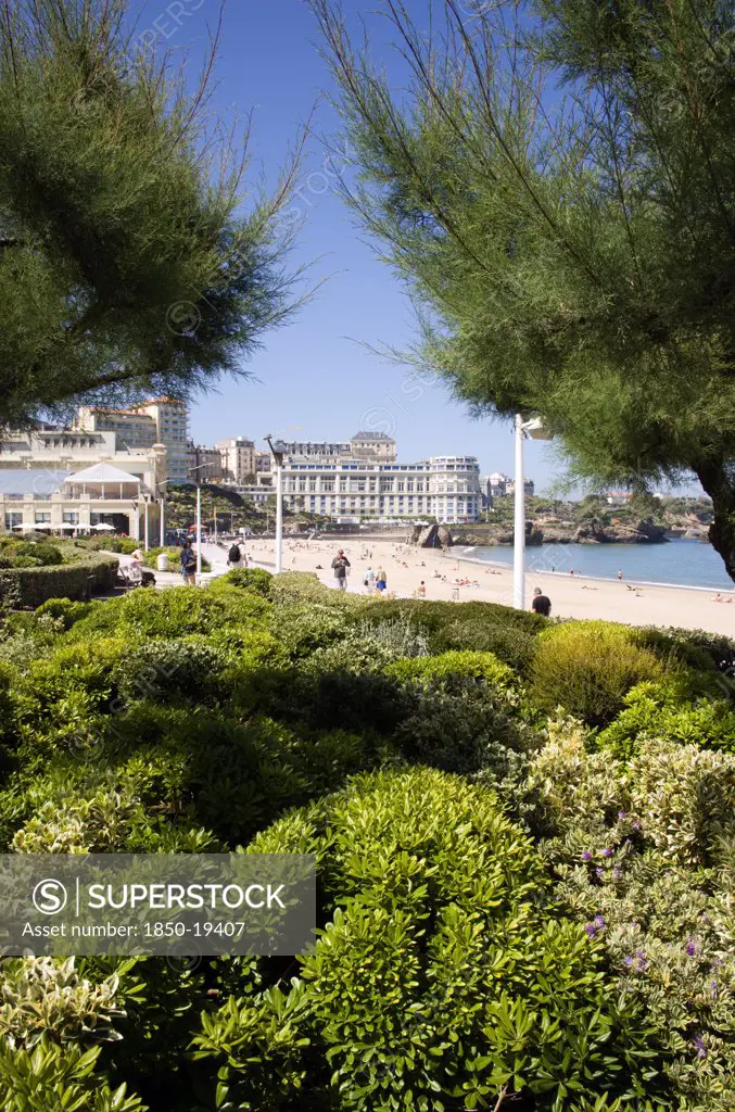 France, Aquitaine Pyrenees Atlantique, Biarritz, The Basque Seaside Resort On The Atlantic Coast. The Grande Plage Beach Seen Through Tamarisk Trees In The Seafront Gardens.