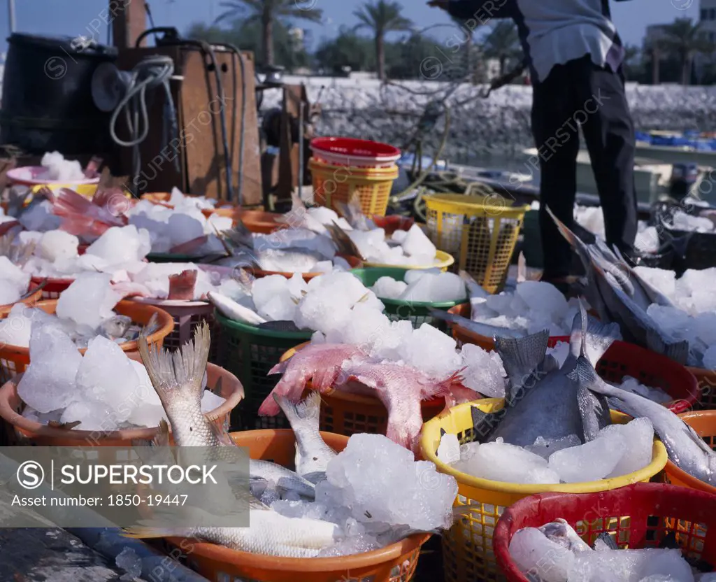 Kuwait, Kuwait City, Dhow Harbour Adjacent To The Sharq Souq With Fresh Fish On Ice In Coloured Baskets In The Foreground.