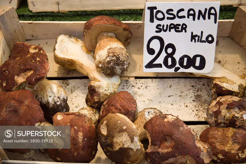 Italy, Veneto, Venice, Toscana Portabello Mushrooms For Sale In The Vegetable Market In The San Polo And Santa Croce District Beside The Rialto Bridge On The Grand Canal