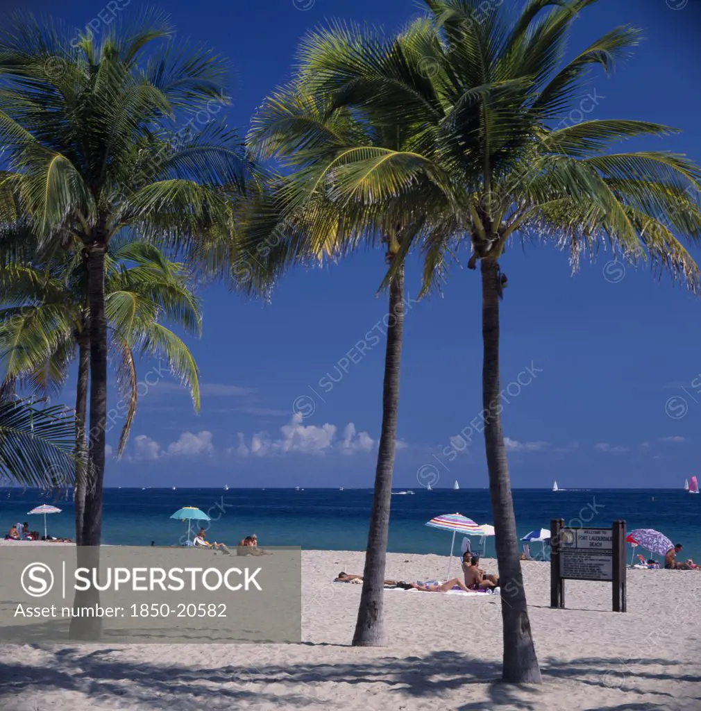 Usa, Florida, Fort Lauderdale Beach, Palm Trees On Sandy Beach With Sunbathers Under Sun Umbrellas On Sand Near Turquoise Sea