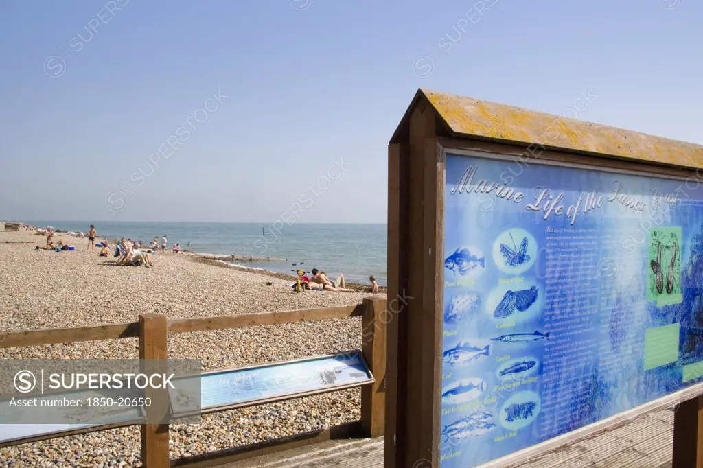 England, West Sussex, Worthing, Sunbathers On Shingle Beach With A Sign Displaying Local Information On Marine Life