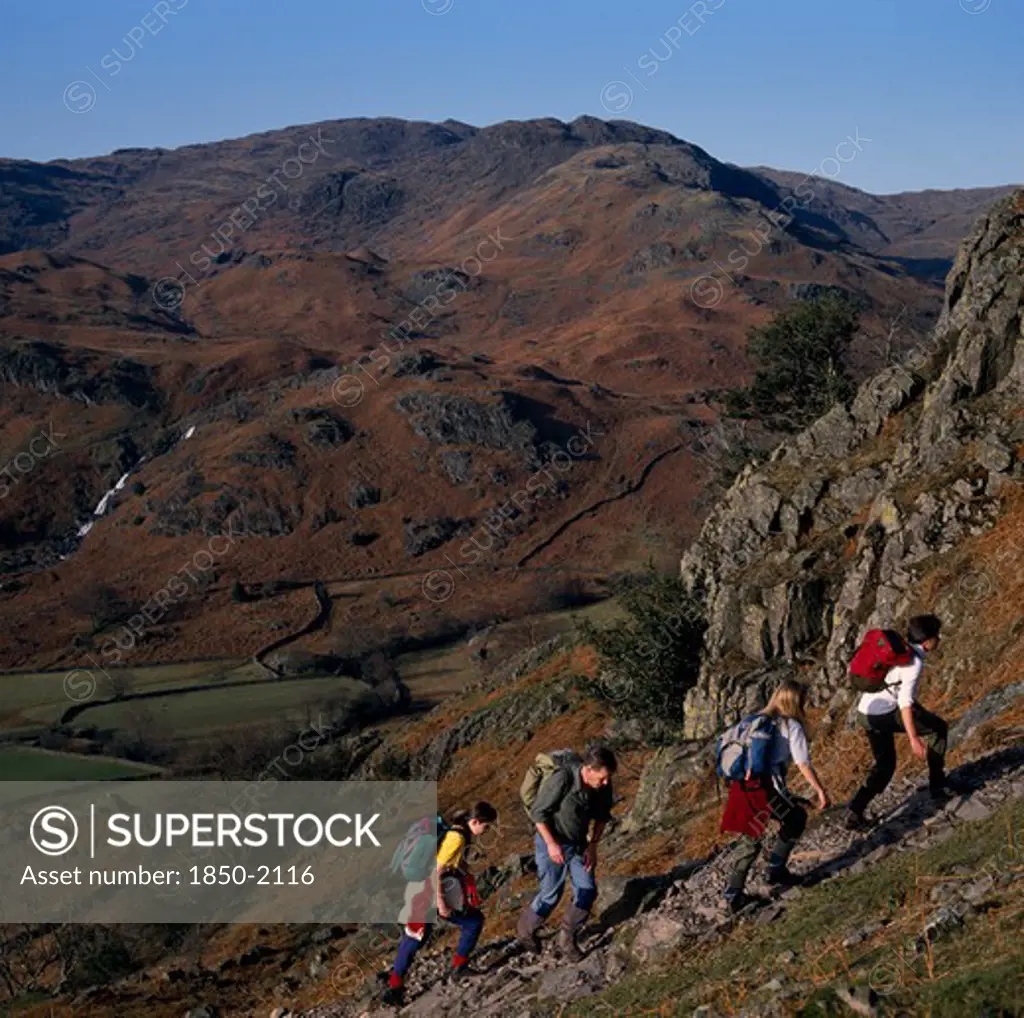 England, Cumbria, Lake District, Walkers On Footpath To Helm Crag Above Grasmere With View West To Sour Milk Gill.